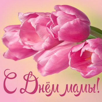 Поздравляем наших мам!